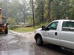 Storm damage fallen trees